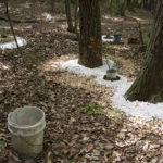 山水のなかの山水_展示