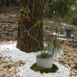 山水のなかの山水_展示